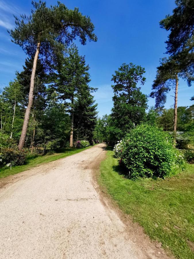 Glamping In Nature By Outdoors Holten Kültér fotó