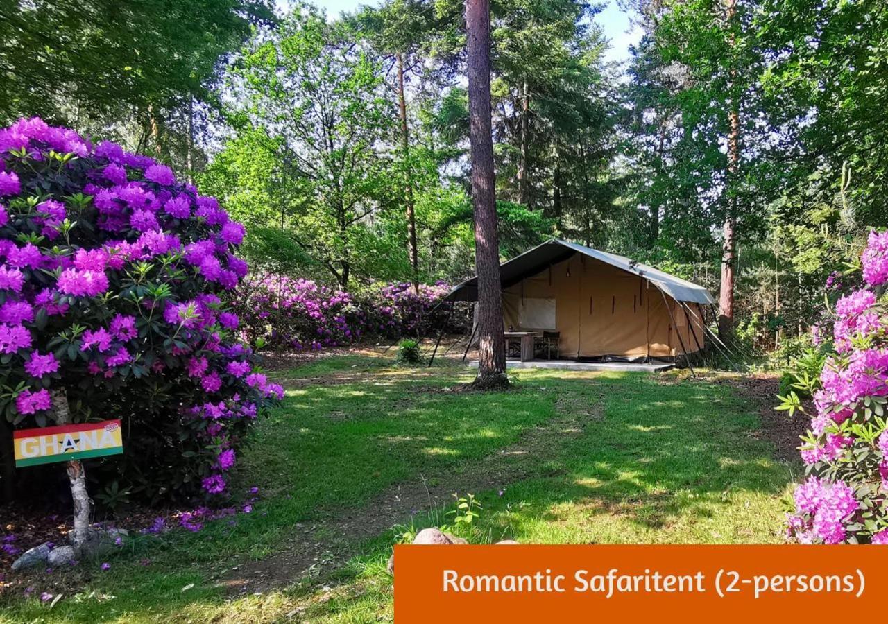 Glamping In Nature By Outdoors Holten Kültér fotó
