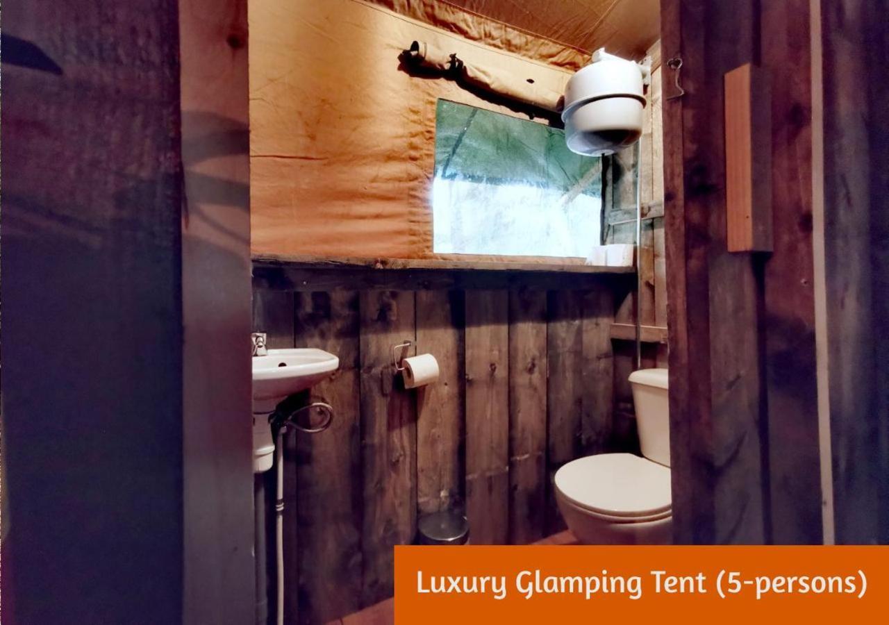 Glamping In Nature By Outdoors Holten Kültér fotó