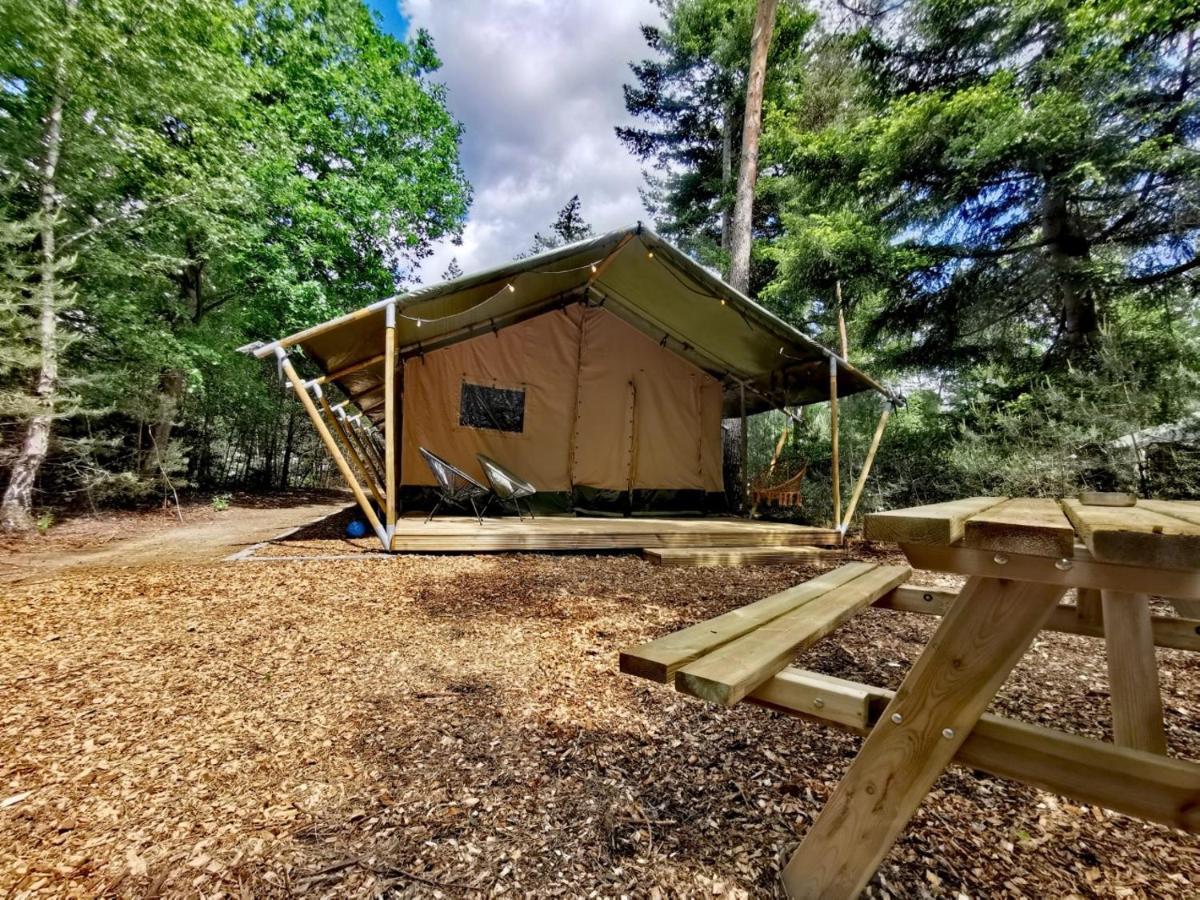 Glamping In Nature By Outdoors Holten Kültér fotó