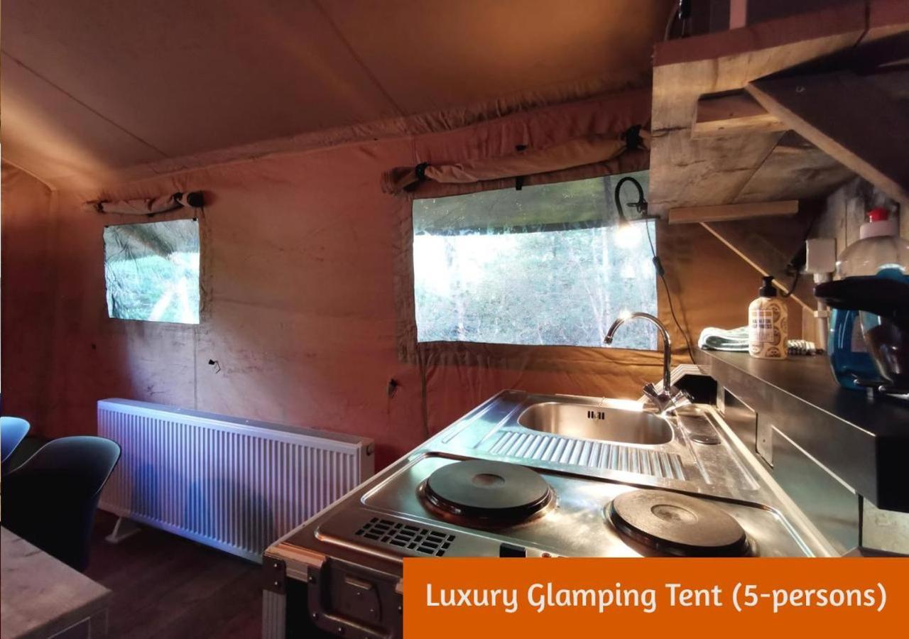 Glamping In Nature By Outdoors Holten Kültér fotó