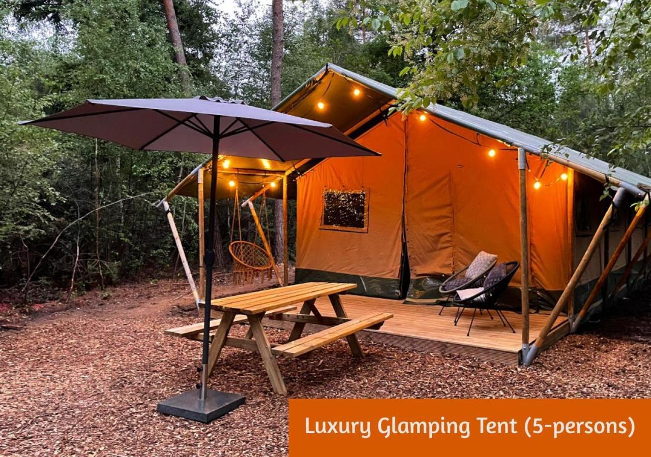 Glamping In Nature By Outdoors Holten Kültér fotó